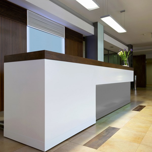 Commercial Office Reception